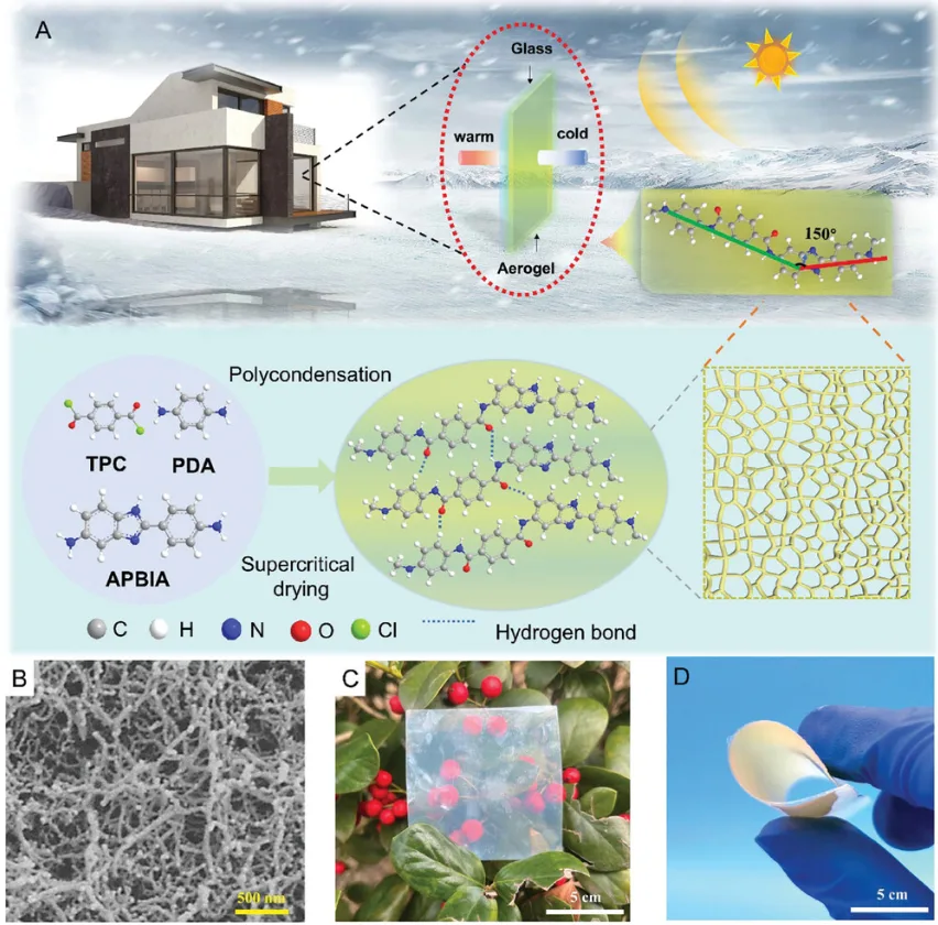 A) PTPA透明气凝胶及其冬季被动采暖节能窗结构示意图。B) PTPA-2纳米纤维结构；C，D) PTPA-2气凝胶（5cm × 5cm）放置在植物上并弯曲的照片图像。