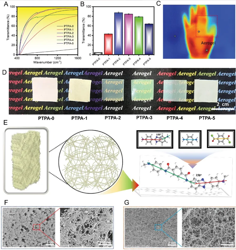 A) PTPA（300µm厚）透光率曲线；B) PTPA（300µm厚）在780 nm处的透射率；C)覆盖热目标的PTPA-2（300µm厚）红外图像；D) PTPA物理图像（300µm厚）；E) PPD-2中纤维结构叠加法；PTPA-0 (F)和PTPA-2 (G)的SEM图像。