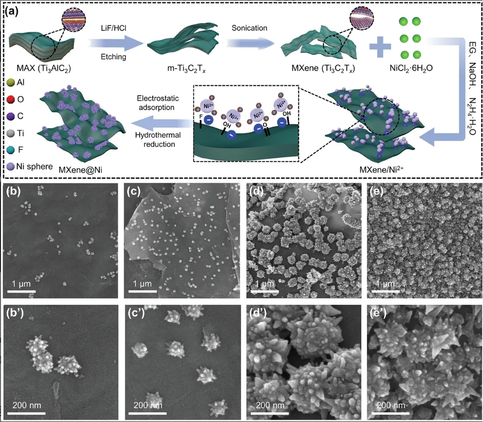 a) MXene@Ni制备示意图。当MXene与Ni的质量比为b，b′)1:2,c,c′)1:4,d,d′)1:6和e，e′)1:8时，制备MXene@Ni的SEM图像。