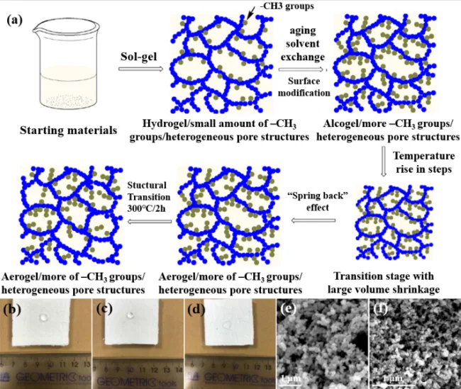 图3.  (a) 常压干燥法制备柔性疏水二氧化硅气凝胶的示意图；将水滴置于干燥后的疏水二氧化硅气凝胶（b）与在300 ℃ （c）和400 ℃ （d）热处理后的疏水二氧化硅气凝胶光学图片；以MTMS和TEOS为共前驱体（MTMS体积百分比为60%），经TMCS表面改性后凝胶的SEM图像（e）和300 ℃热处理后（f）二氧化硅气凝胶的SEM图像及结构。