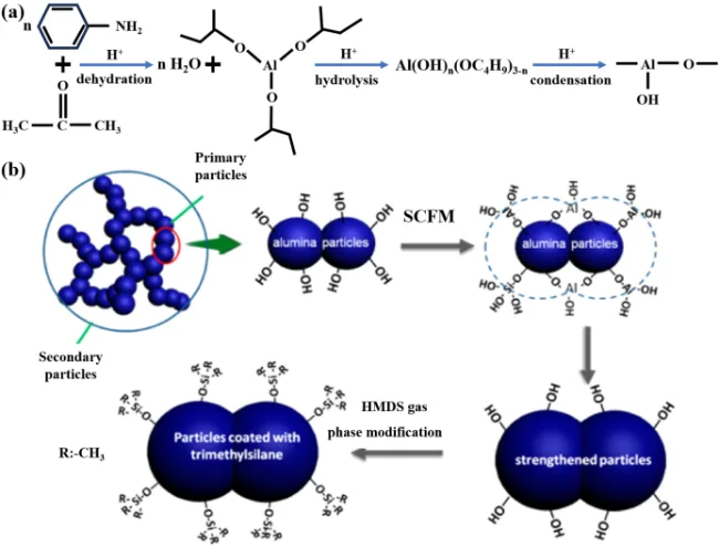 图5. (a) 丙酮-苯胺原位水形成（ISWF）法溶胶-凝胶法；（b）耐高温氧化铝气凝胶原氧化铝颗粒改性机理示意图。